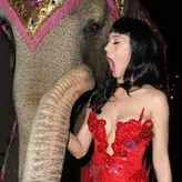 Katy Perry nude #5184