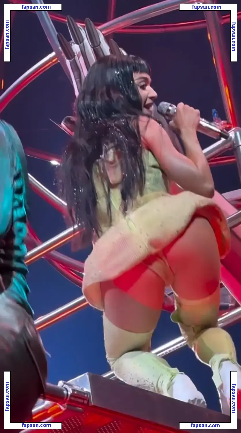 Katy Perry nude photo #7003 from OnlyFans