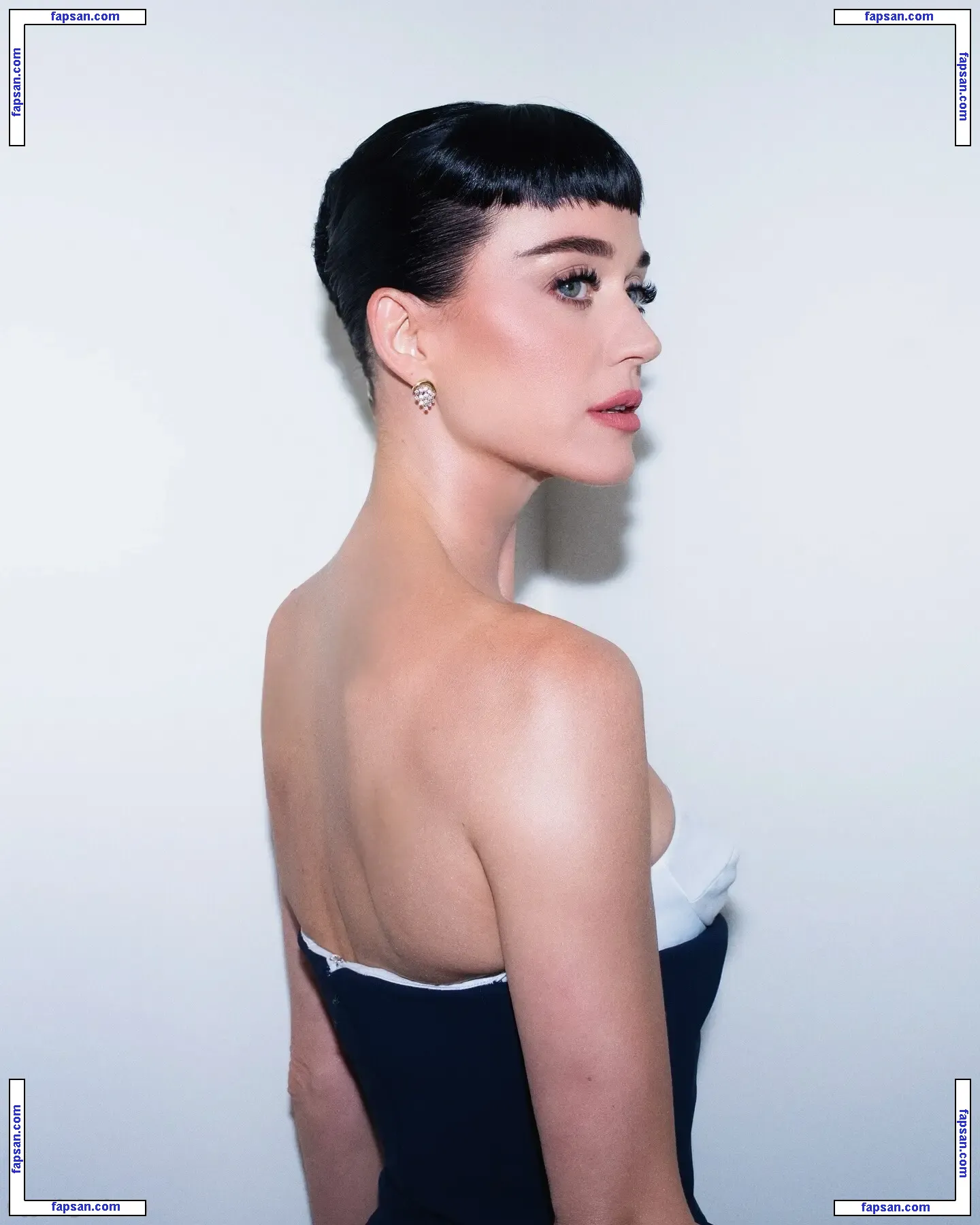 Katy Perry голая фото #7025 с Онлифанс