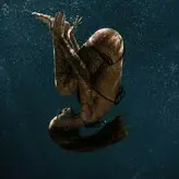 kaza.masha голая #0028