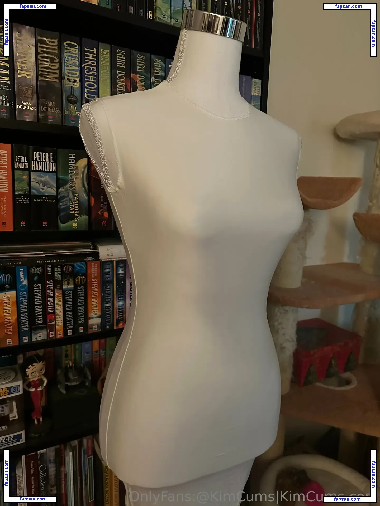 kc.free nude photo #0026 from OnlyFans