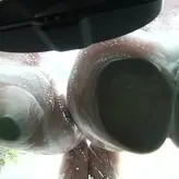 Kelly Divine nude #0139