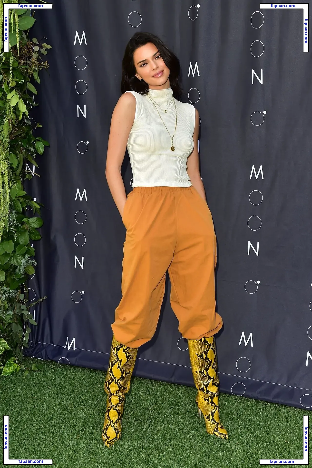 Kendall Jenner nude photo #3603 from OnlyFans