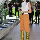 Kendall Jenner nude #3624