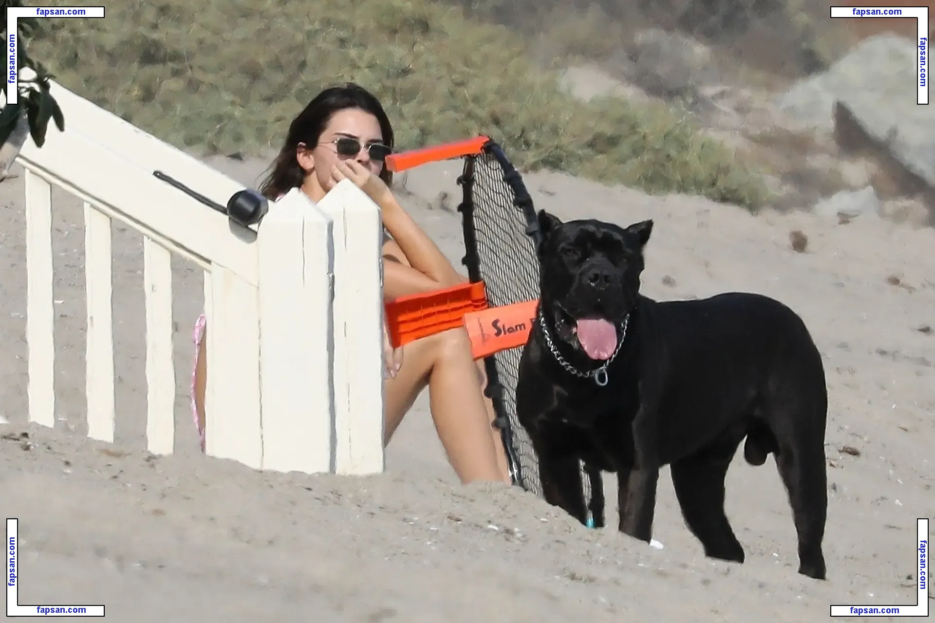 Kendall Jenner nude photo #6329 from OnlyFans