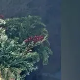 Kendra Cross голая #0021