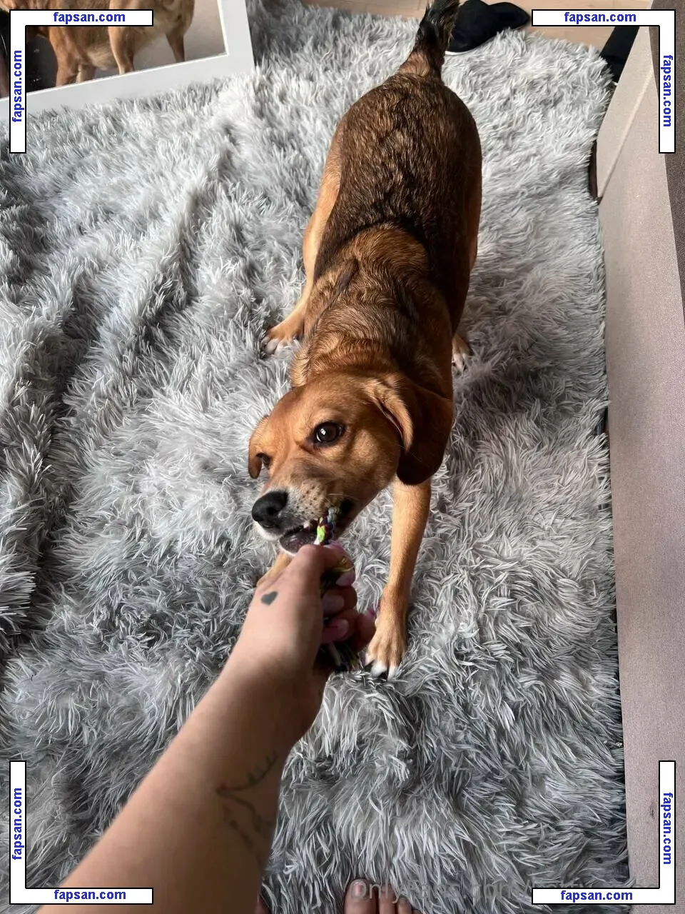 ketty_moon nude photo #0006 from OnlyFans