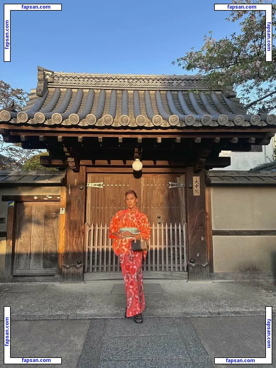 kira.asia.ts nude photo #0033 from OnlyFans