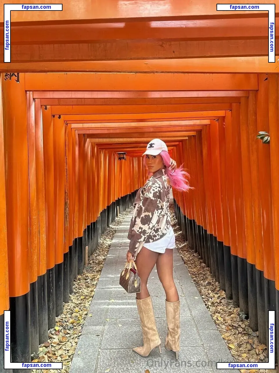 kira.asia.ts nude photo #0040 from OnlyFans