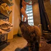 kitty_bit_games nude #0197