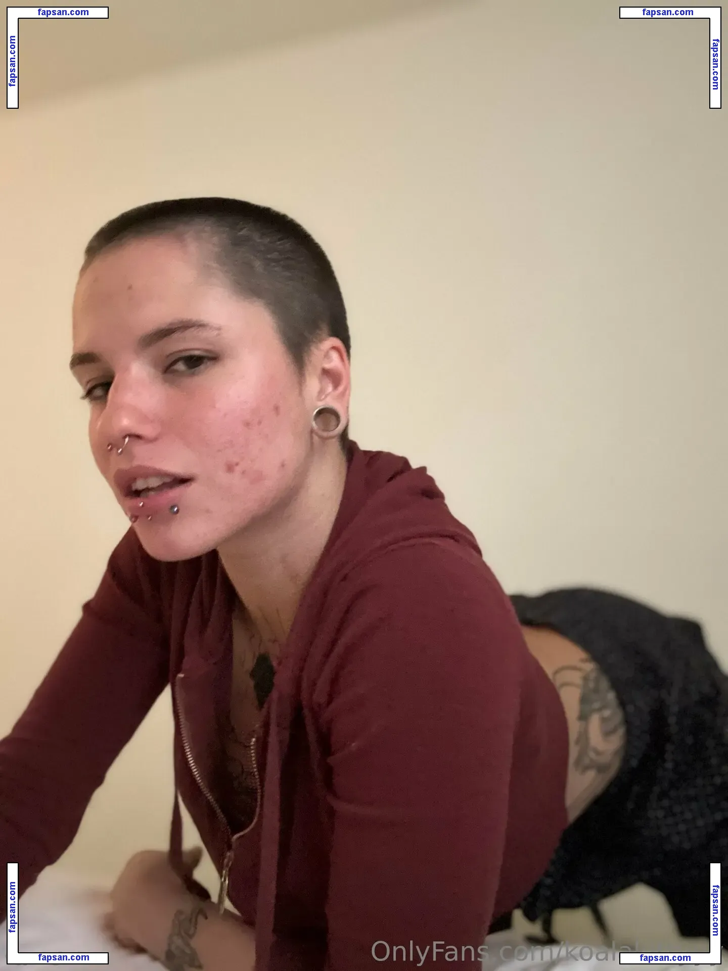 Koalakittyyy nude photo #0248 from OnlyFans