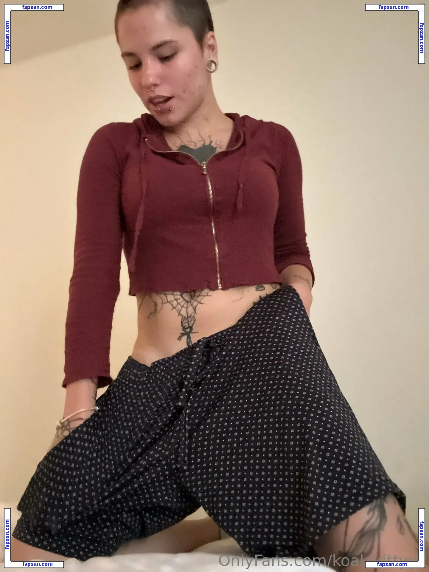Koalakittyyy nude photo #0250 from OnlyFans
