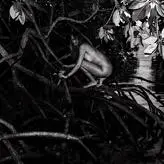 koshernaya голая #0003