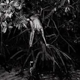 koshernaya голая #0005