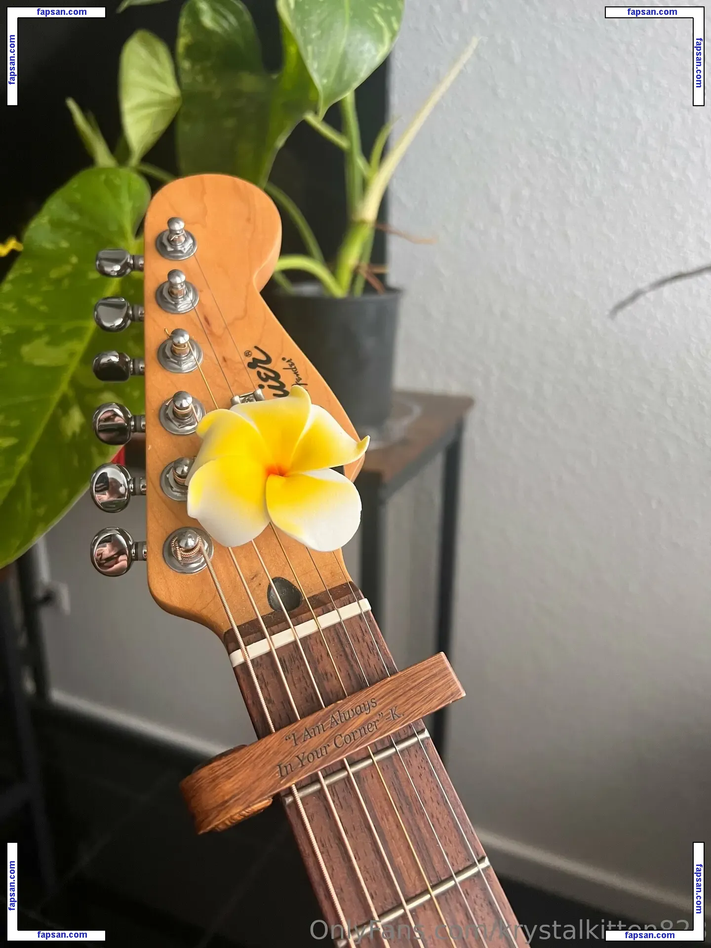 krystalkitten828 nude photo #0033 from OnlyFans