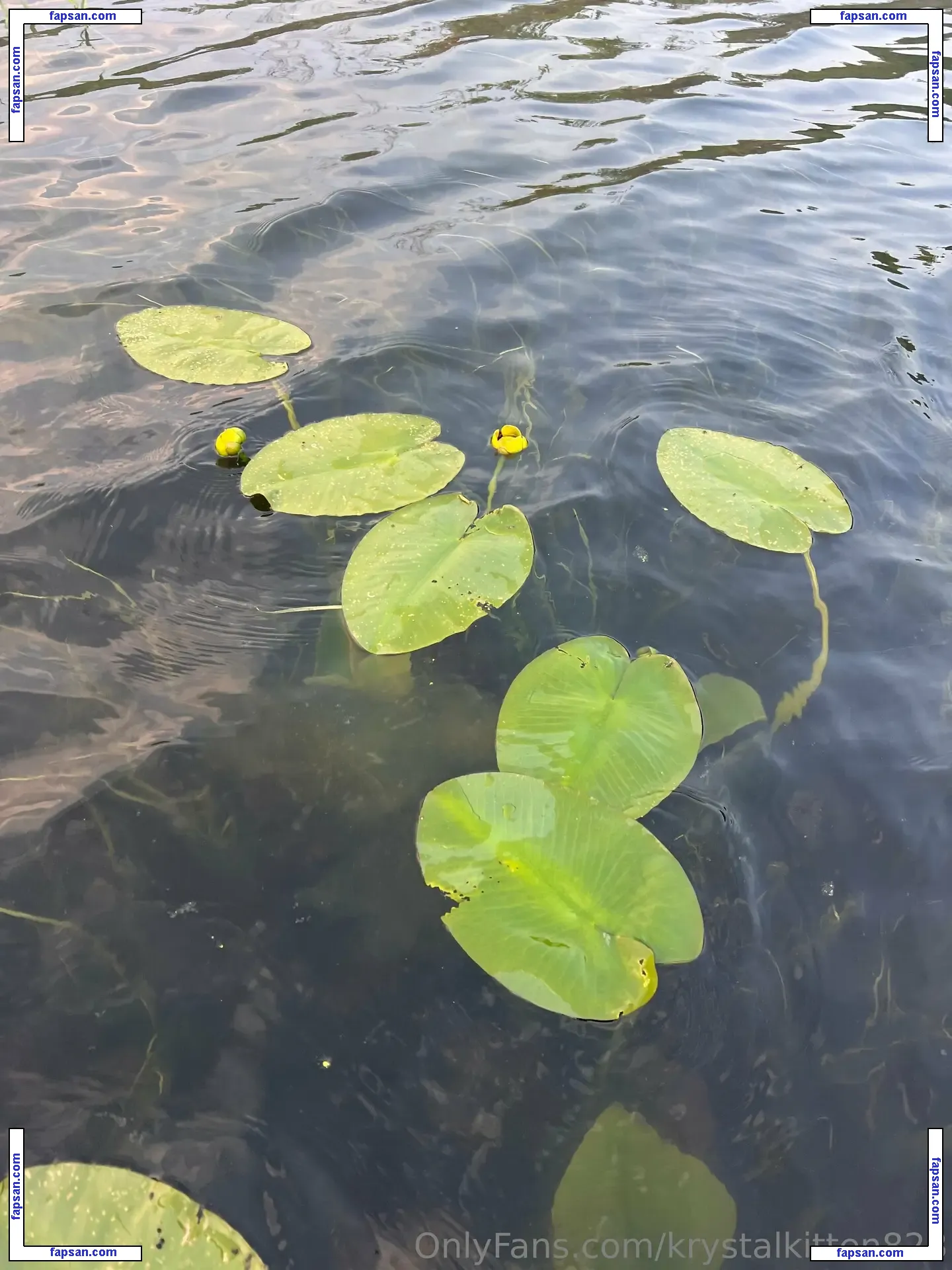 krystalkitten828 nude photo #0035 from OnlyFans