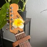 krystalkitten828 nude #0033