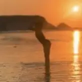 Kyara Nayumi nude #0003