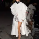 Kylie Jenner голая #2377