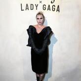Lady Gaga голая #3829