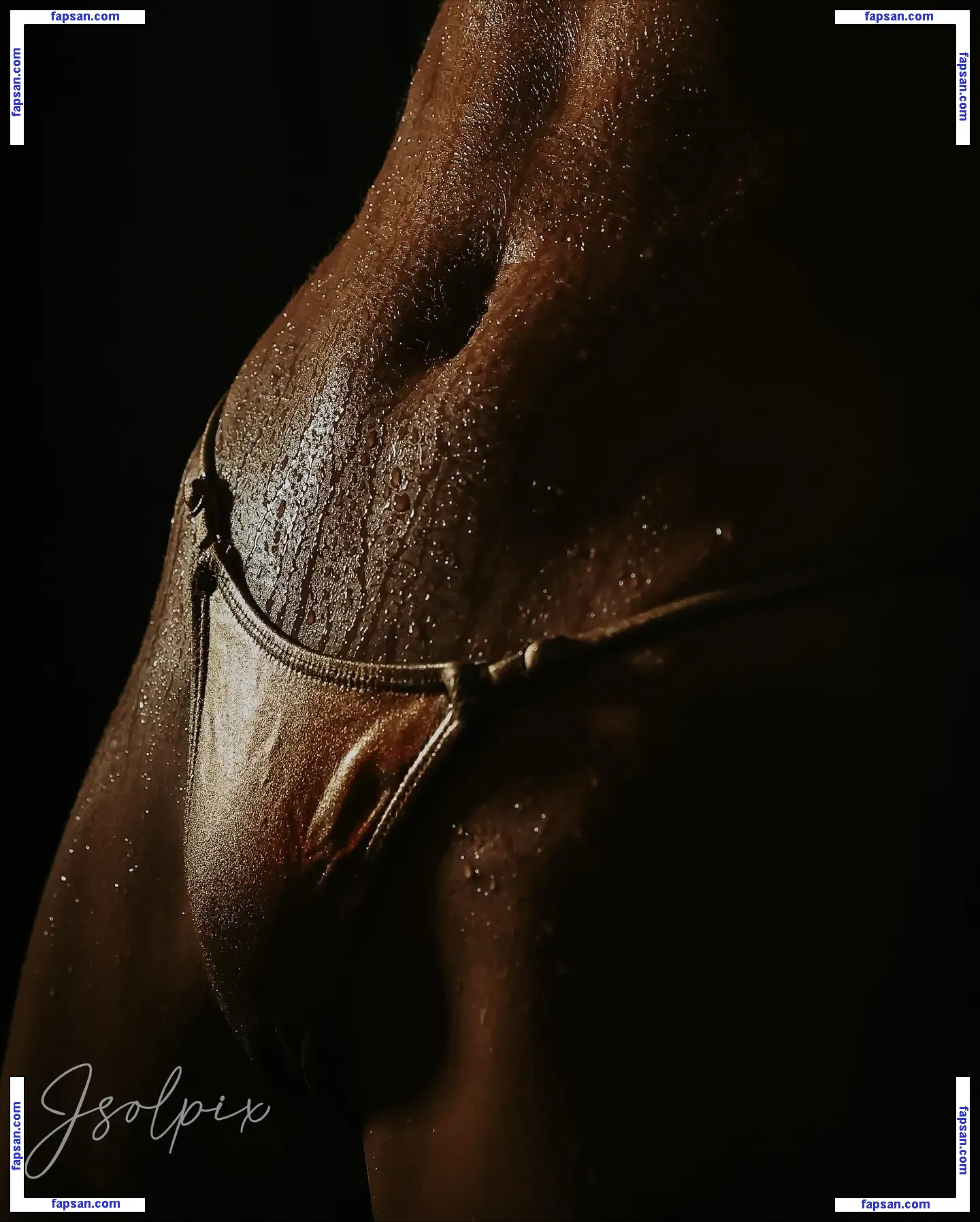 Lady In The Streets nude photo #0088 from OnlyFans