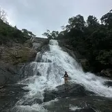 Laplata голая #0015