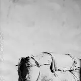 Lara Stone nude #0468