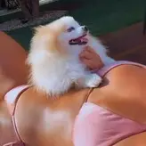 Lauana Prado голая #0022