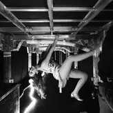 Laufey Lin голая #0088