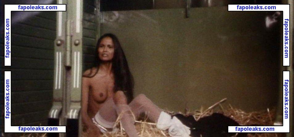 Laura Gemser / laura_gemser_garage голая фото #0159 с Онлифанс