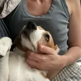 Lauren Bonner nude #0226