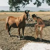 Leah Rose nude #0064