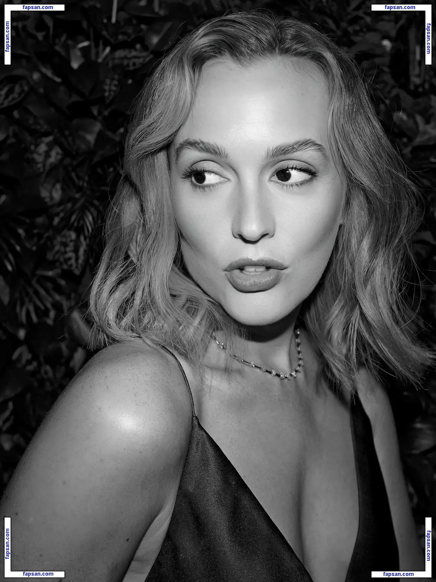 Leighton Meester голая фото #0343 с Онлифанс