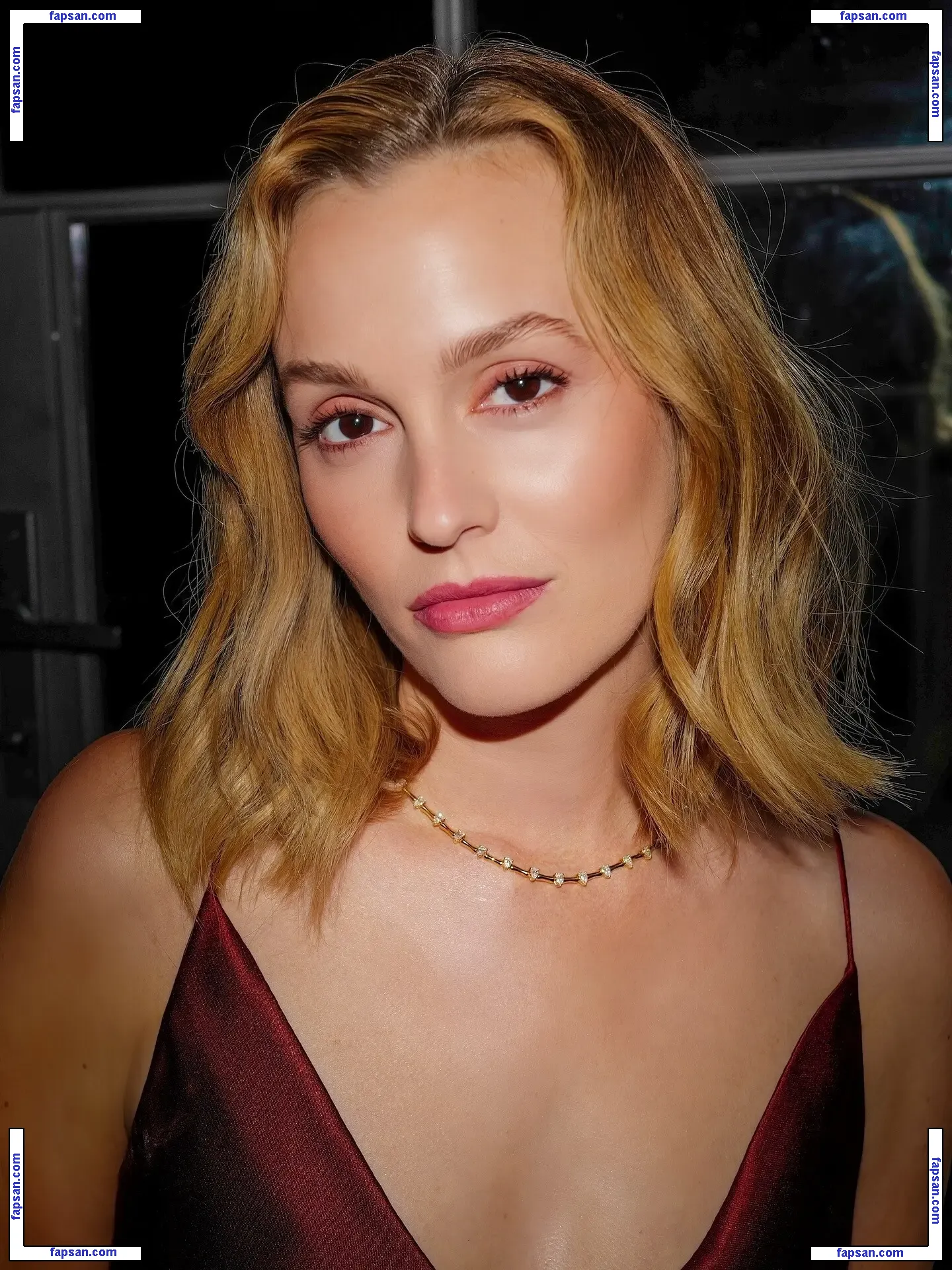 Leighton Meester голая фото #0345 с Онлифанс