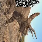 Lety Does Stuff nude #0055