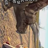 Lety Does Stuff nude #0056