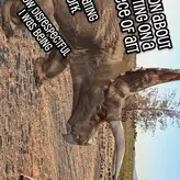 Lety Does Stuff nude #0058