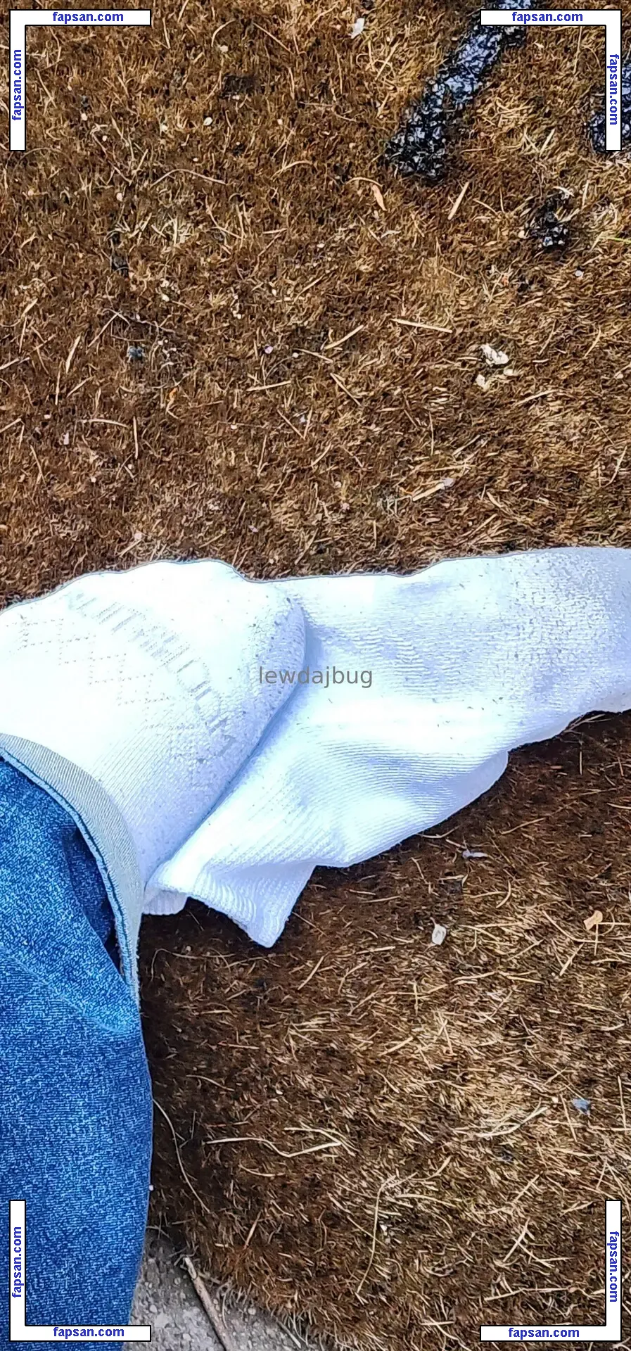 lewdajbug nude photo #0018 from OnlyFans