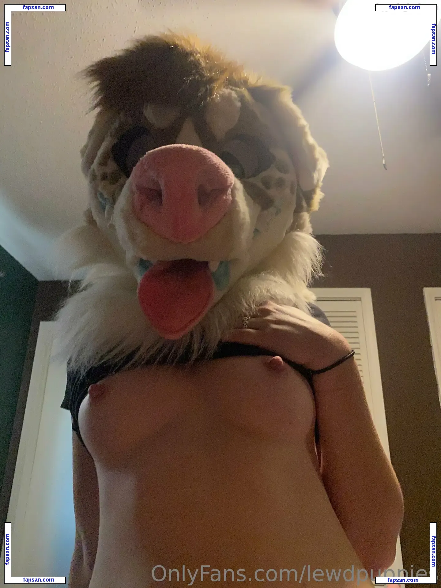 lewdpuppies nude photo #0012 from OnlyFans