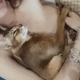Liana_Fox голая #0006