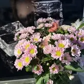 Liana_Fox голая #0036