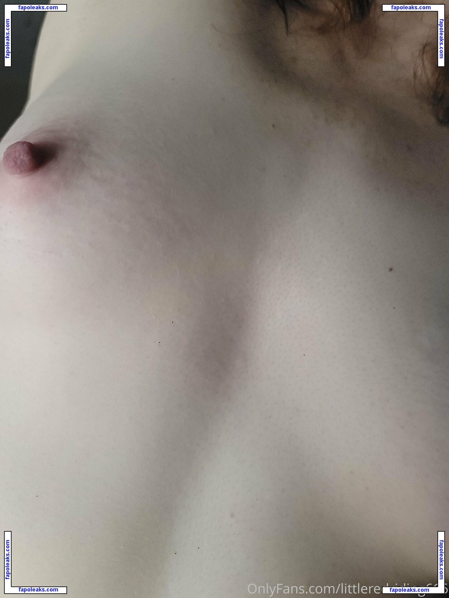 lil.red.rae666 / lilredtharapper nude photo #0012 from OnlyFans