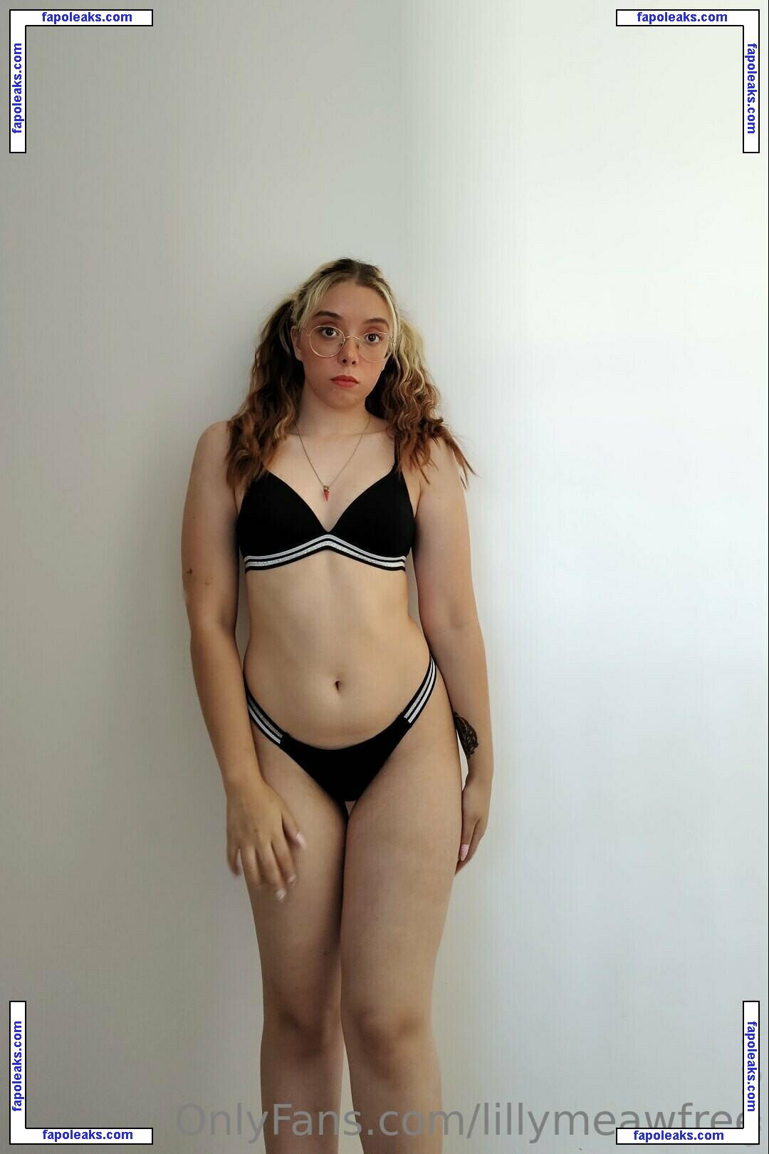 lillymeawfree / lilyyfree nude photo #0009 from OnlyFans