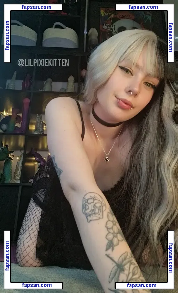 lilpixiekitten nude photo #0006 from OnlyFans