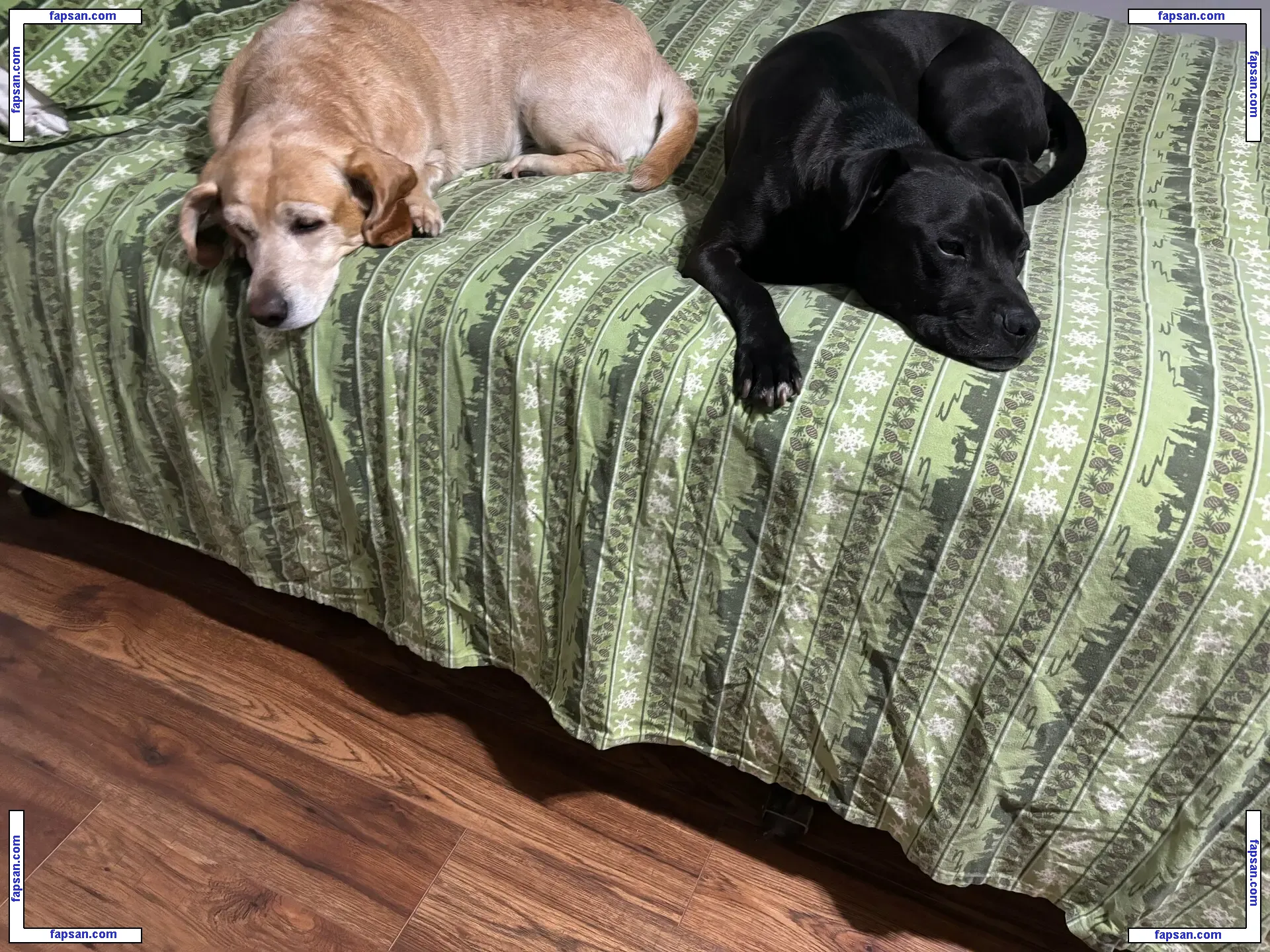 lilrosiedoll nude photo #0224 from OnlyFans