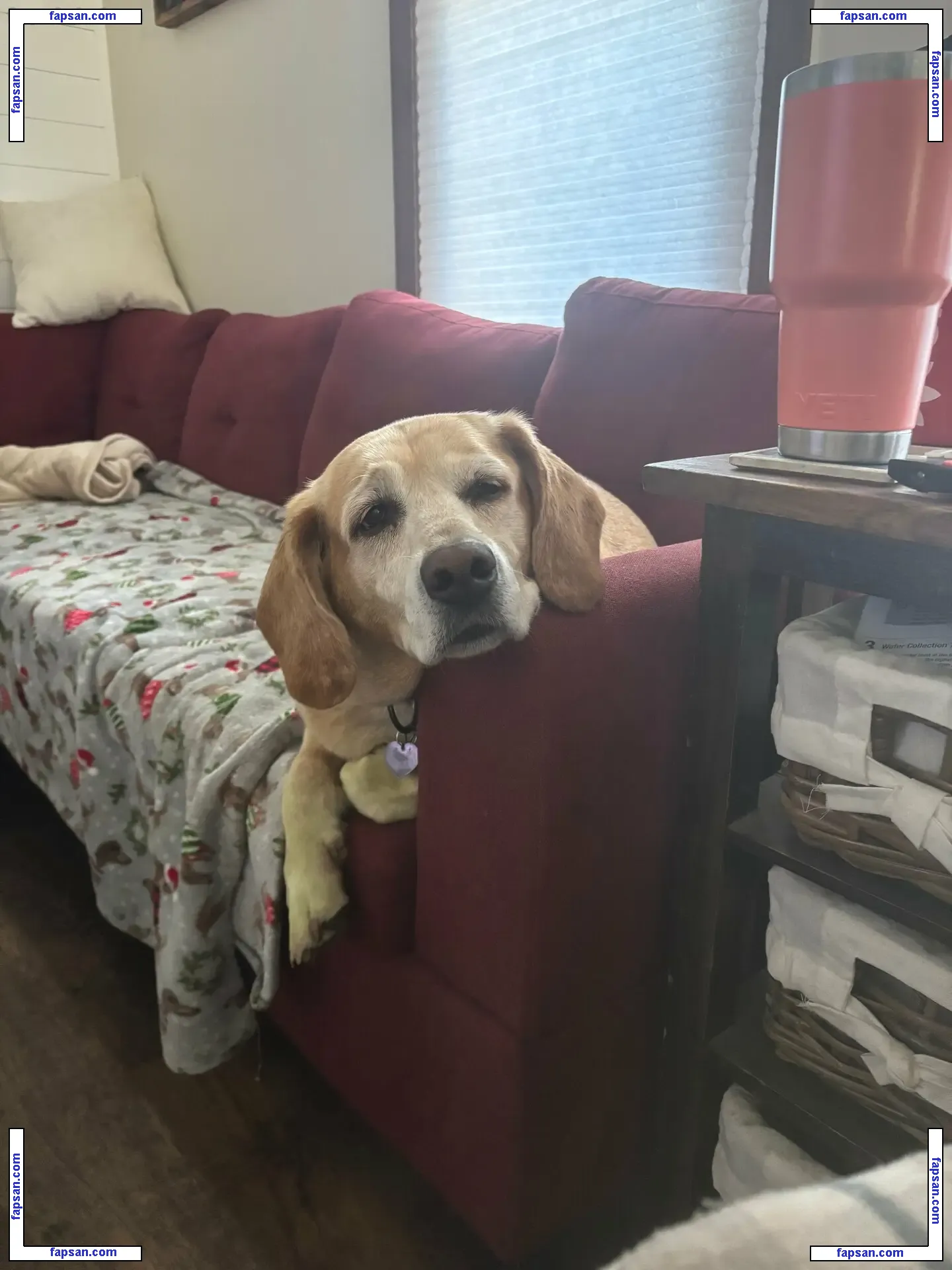 lilrosiedoll nude photo #0232 from OnlyFans