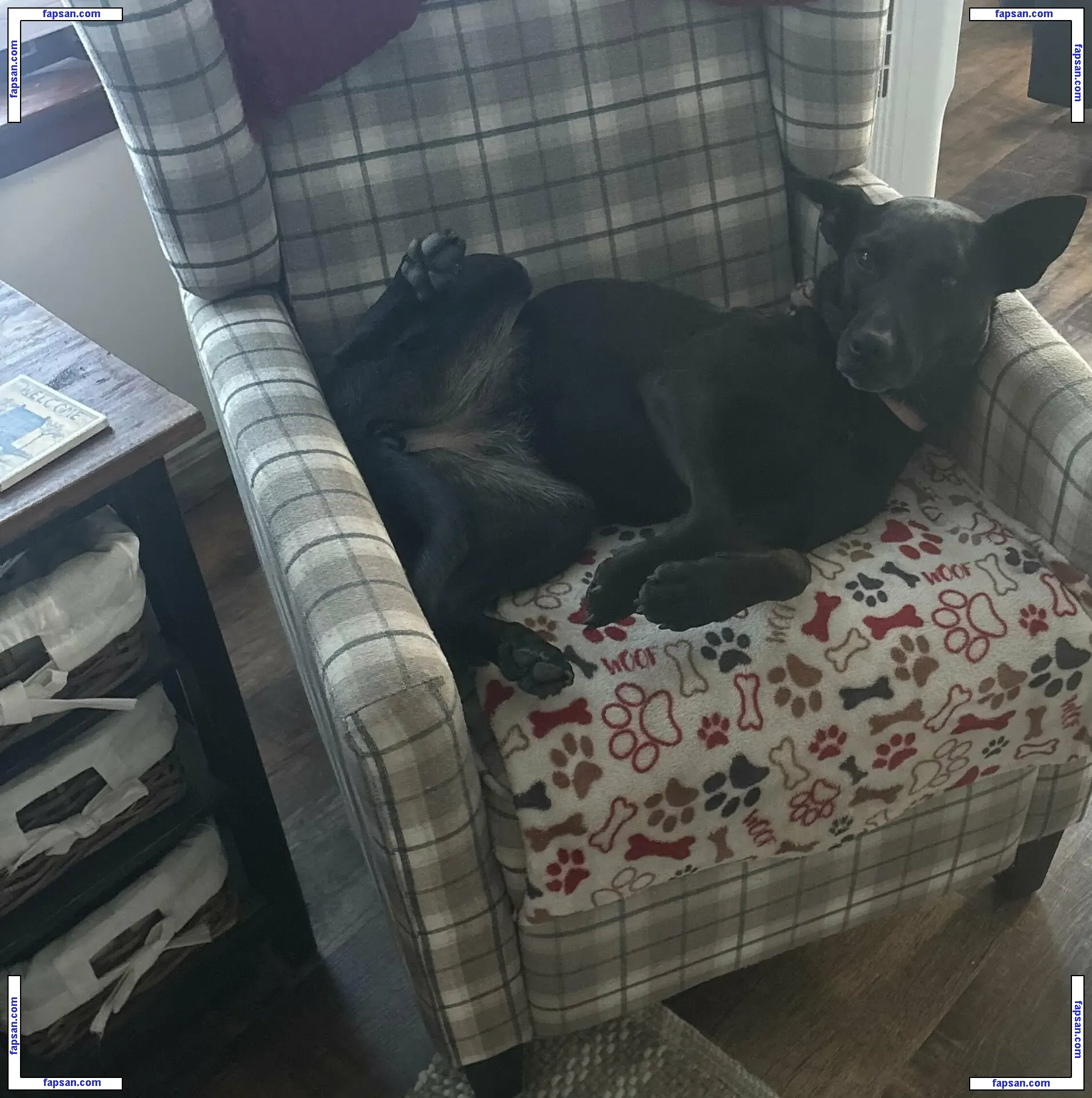 lilrosiedoll nude photo #0237 from OnlyFans