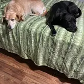 lilrosiedoll nude #0224