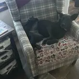 lilrosiedoll nude #0237