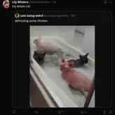 Lily Winters nude #0005